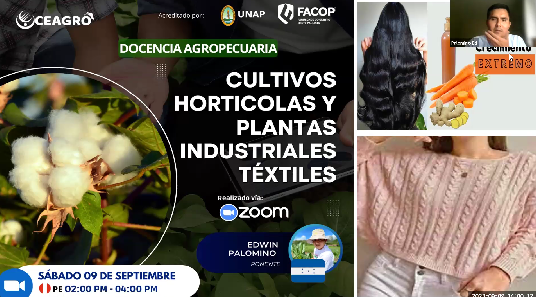 Cultivos hortícolas y plantas industriales textiles